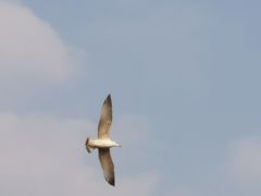 -上海市外滩历史纪念馆