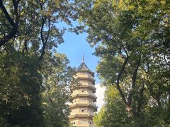 -灵谷景区