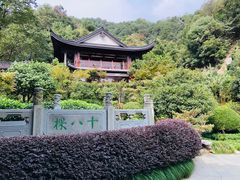 -十八棵（老龙井）御茶园(老龙井店)