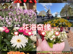-库肯霍夫公园