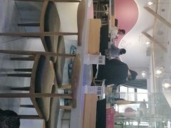 -喵园·猫主题咖啡厅·撸猫·猫咖(国贸店)