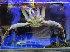-陶陶居海鲜酒家(新马路店)