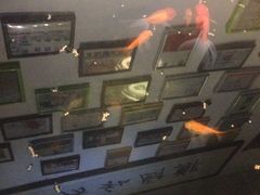-郑厨私房菜