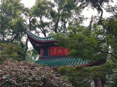 -岳麓山风景名胜区