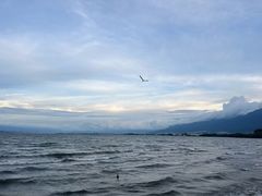 -大理洱海