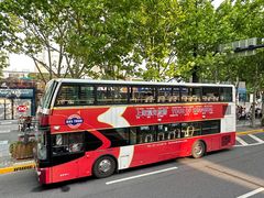 -BUS TOUR观光巴士