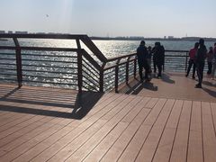 -丁香湖公园