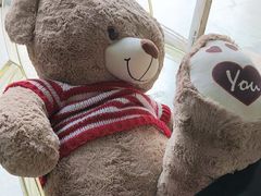 -成都泰迪熊博物馆