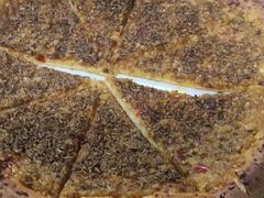 隔壁家蒜香烤油馕-清真·马峰烤肉(小学习北巷店)