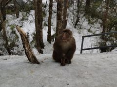 -峨眉山风景名胜区