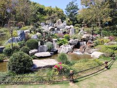 -东莞植物园