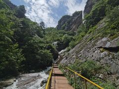 -青峰峡国家森林公园