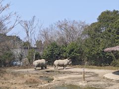 -宁波野生动物园