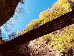 -牛背梁国家森林公园