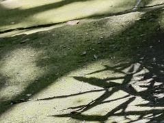 -鸿山公园