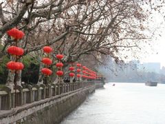 -运河游船(武林门码头)