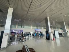 -河内内排国际机场