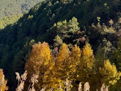 -泸沽湖国家级风景名胜区走婚桥