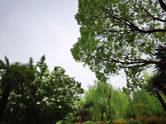 -黄兴公园