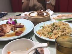 -南枝记