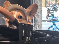 -常识咖啡common sense(春熙路店)