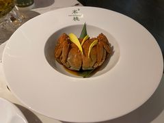 -米桃-吴韵风雅·拙园(北外滩来福士店)