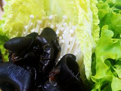 蔬菜拼盘-同城四季爆肚涮羊肉(安华里店)