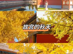 -故宫博物院(故宫)