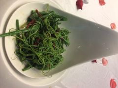 炝拌丝瓜尖-小广寒电影艺术餐厅(小广寒经三路店)