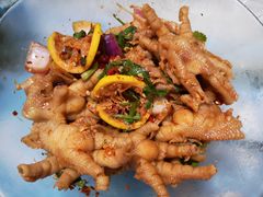 -铁山坪森林公园