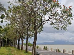 -深圳湾公园(南山区)