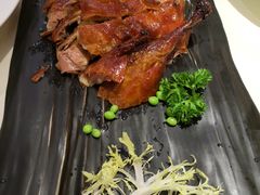 -圆苑(上海广场店)