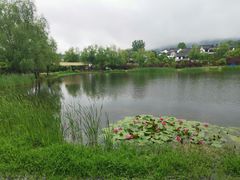 -石塘人家