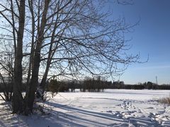 -北极村旅游风景区