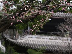 -三苏祠