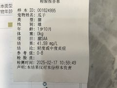 -派美特宠物医院·核磁CT·骨科肿瘤·疑难转诊(沈农禾丰店)