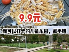 -前小桔亲子创意农场·草莓采摘·露营烧烤