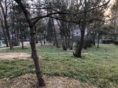 -方庄体育公园
