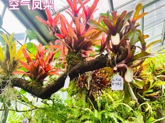 -国家植物园南园