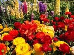 -狼山风景名胜区