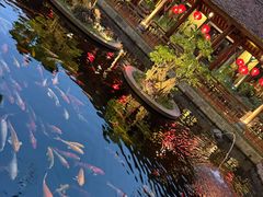 -河内西湖莲花自助餐厅
