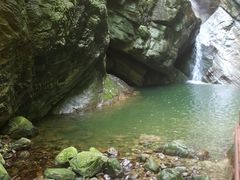 -牛背梁国家森林公园