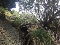 -厦门鸿山寺