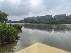 -华侨城湿地公园