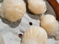 -詠春园