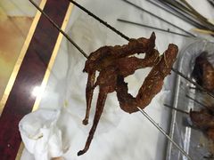 北三第一家老太太烧烤-北三老太太烧烤(人生一串上榜店)