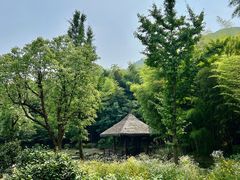 -兰亭风景区