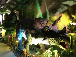 点击看大图 -恐龙探索乐园(磁器口店)