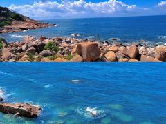 -广东惠东海龟国家级自然保护区