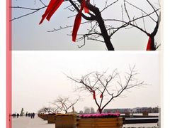 -法门文化景区-合十舍利塔